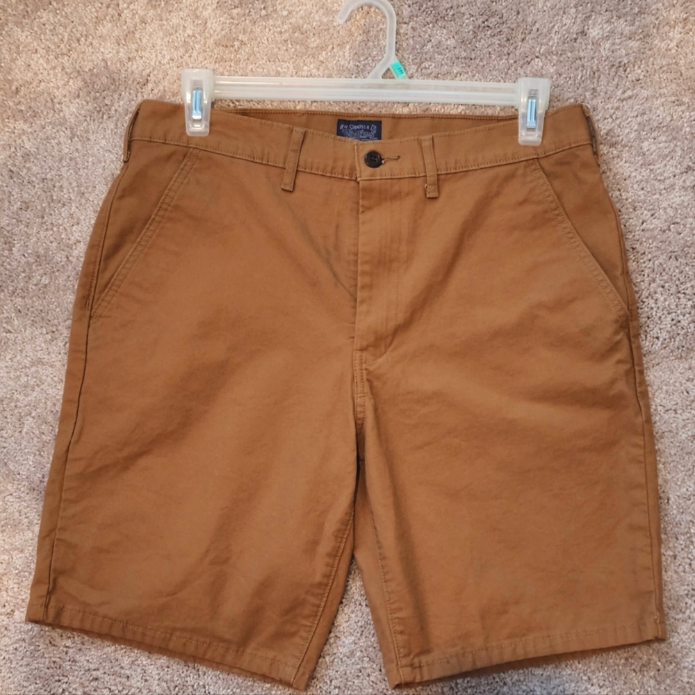 Levi's Kahki Brown Shorts, Size 34, Brand New